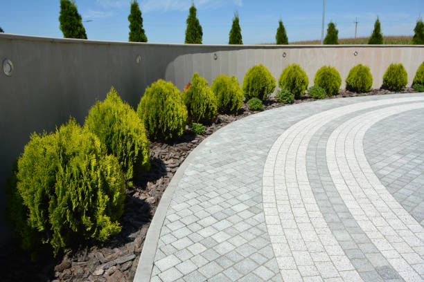 Reasons to Select Us for Your Driveway Paving Requirements in Pistakee Highlands, IL